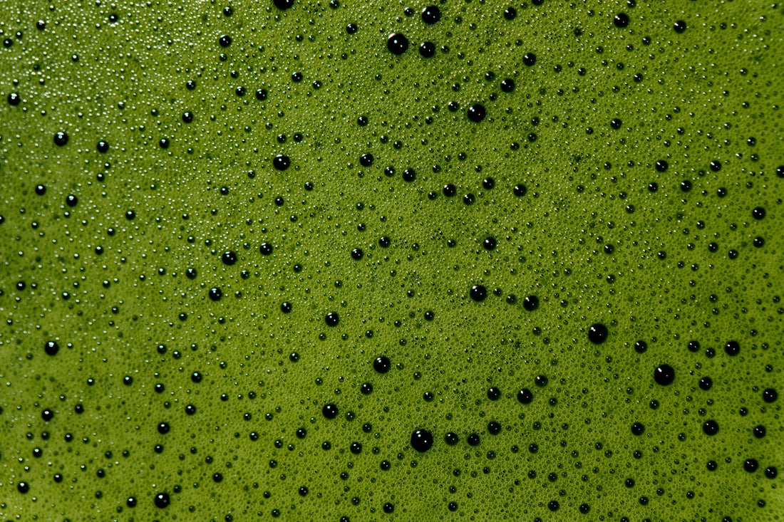 Ceremonial vs Culinary Grade Matcha: What Actually Separates Them