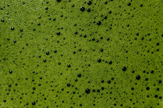 Ceremonial vs Culinary Grade Matcha: What Actually Separates Them