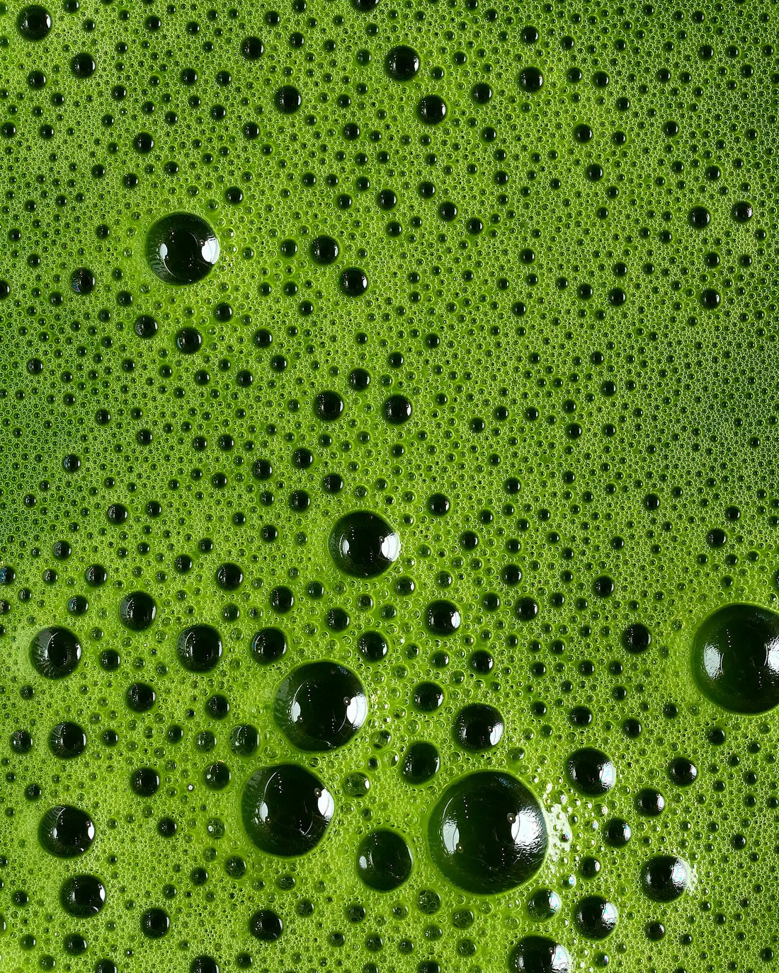 Why Your Café Matcha Doesn't Taste Like This