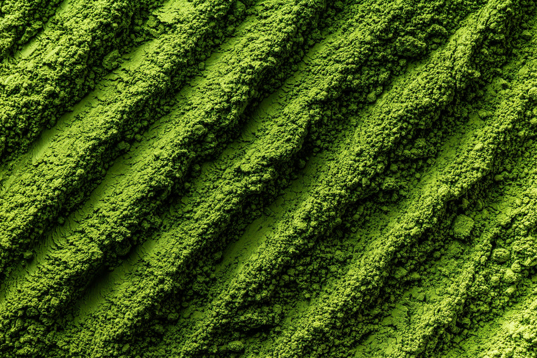 Why Uji Matcha Is Different (And Why It Matters)